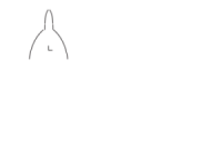 Shelby Chamber logo